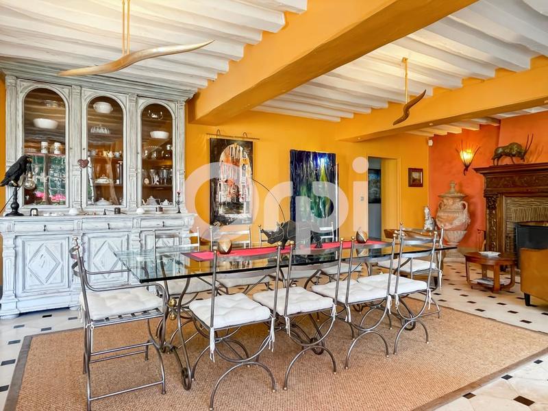 Moulin - 550 m² - 7 pièces