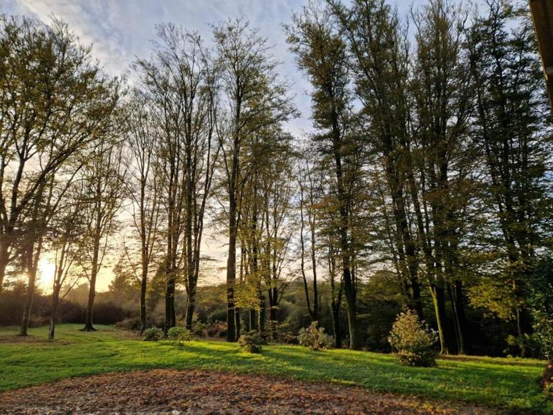 Maison - 147 m² - 5 pièces