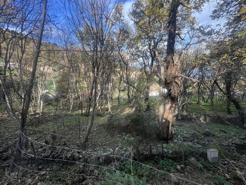 Terrain constructible - 2 000 m²