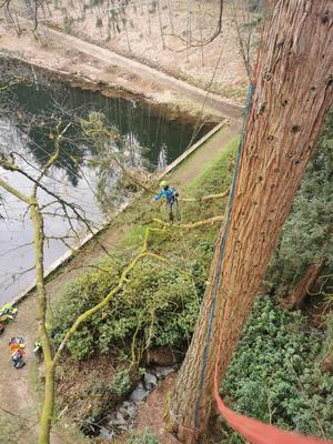 Stages à la journée &quot;Devenir grimpeur d'arbres&quot;