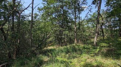 Terrain inconstructible - 38 528 m²