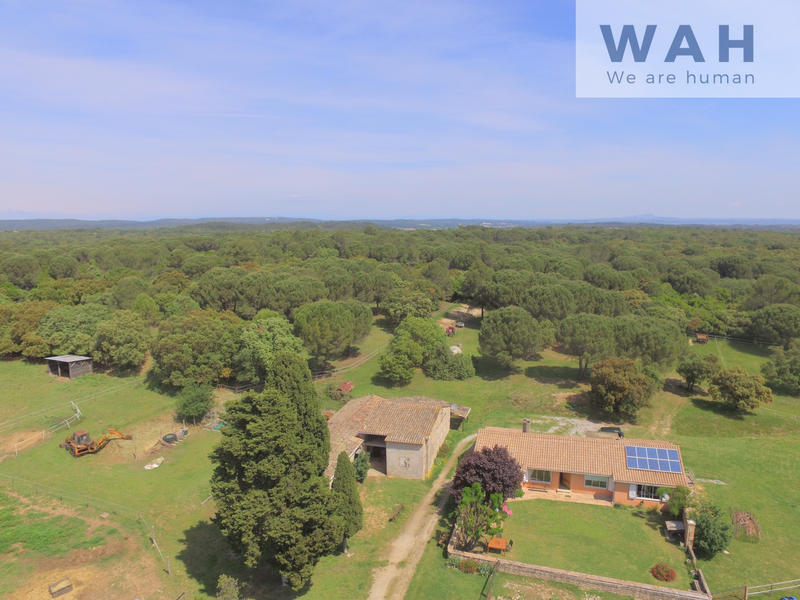 Propriété - 168 m² - 4 pièces