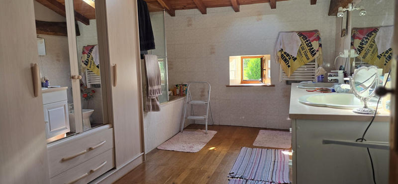 Viager - Maison ancienne - 248 m² - 11 pièces