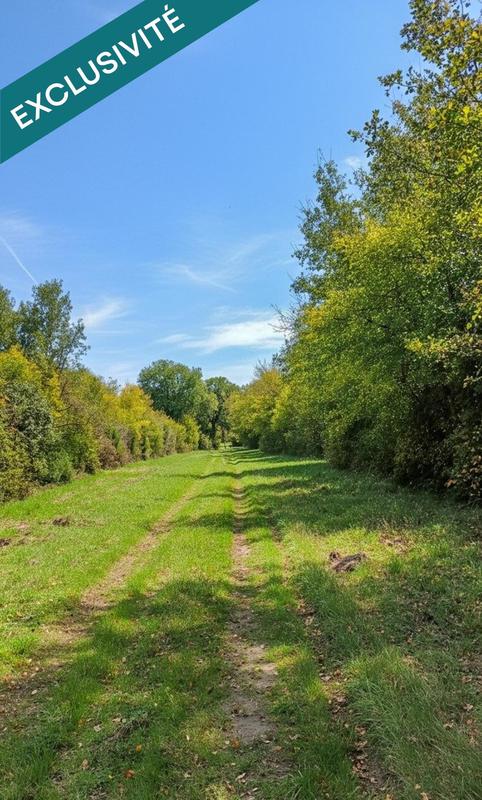 Terrain - 697 767 m²