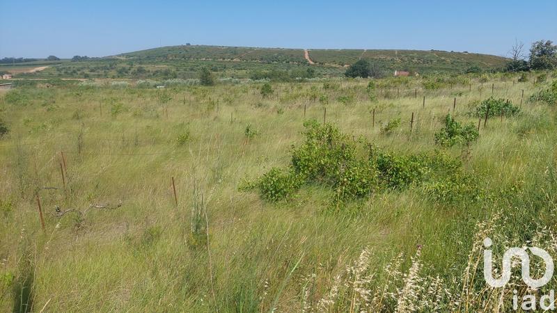 Terrain agricole - 4 430 m²