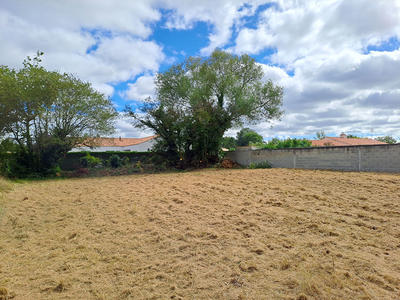 Terrain - 905 m²