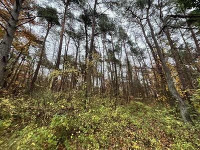 Terrain - 108 475 m²