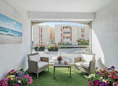 Studio - 24 m² - 1 pièce