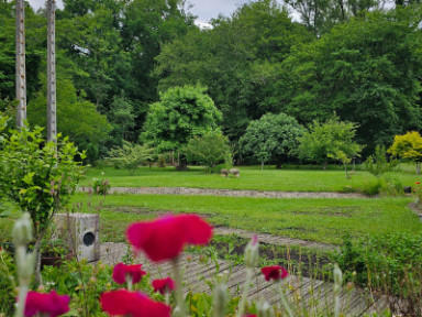 Maison - 214 m² - 9 pièces