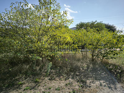 Terrain - 825 m²