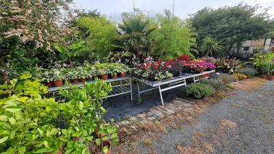 Fonds de commerce - 1 780 m²