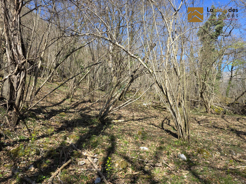 Terrain agricole - 7 410 m²