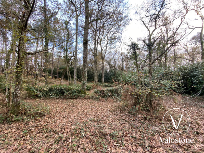 Terrain de loisirs - 60 770 m²