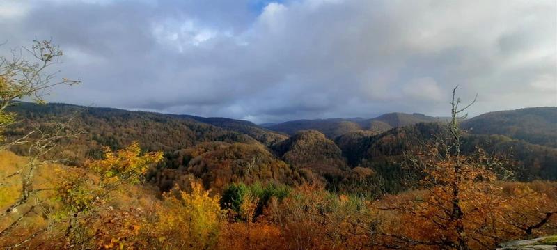 Maison - 182 m² - 11 pièces