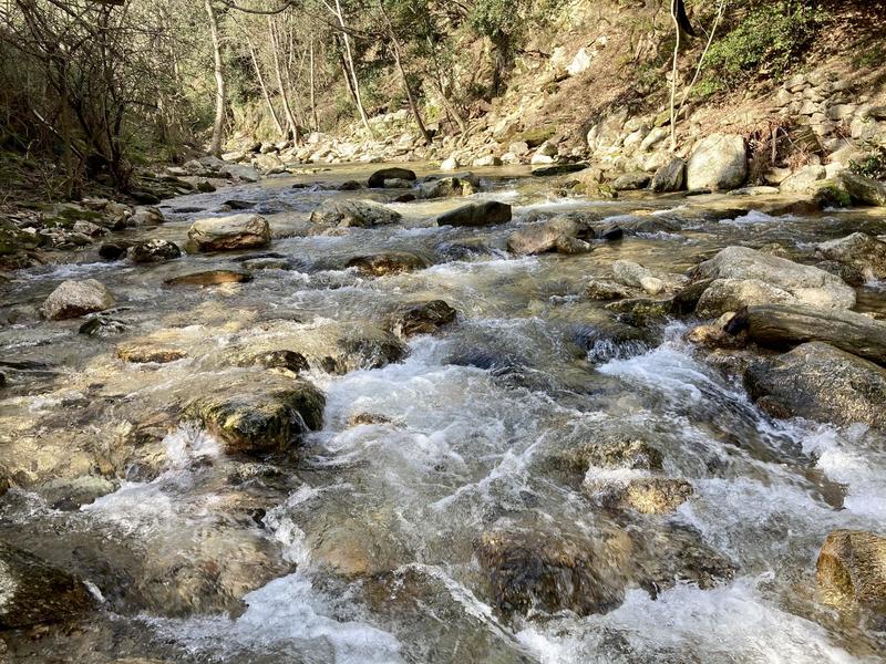 Villa - 337 m² - 15 pièces