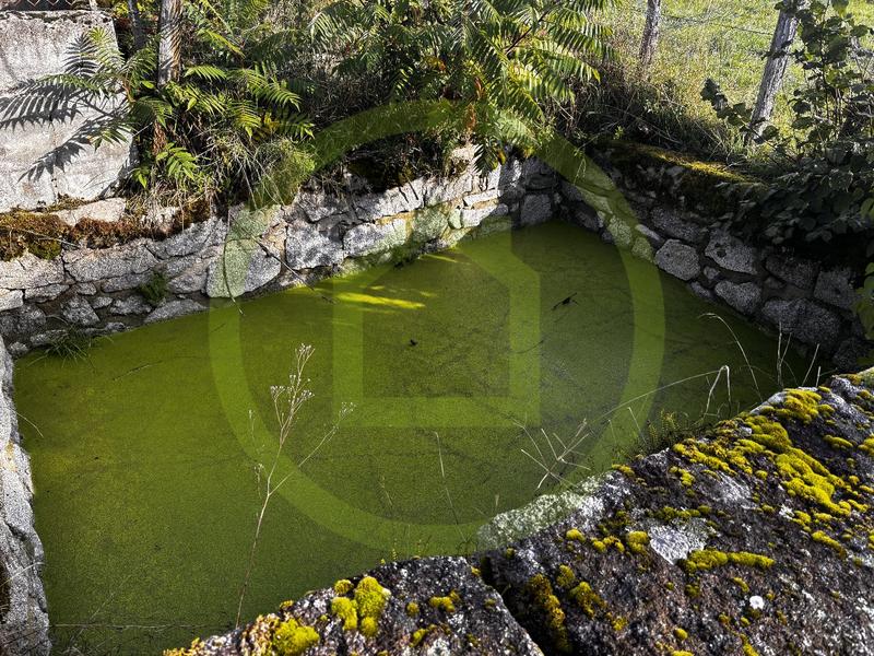 Propriété - 125 m² - 9 pièces