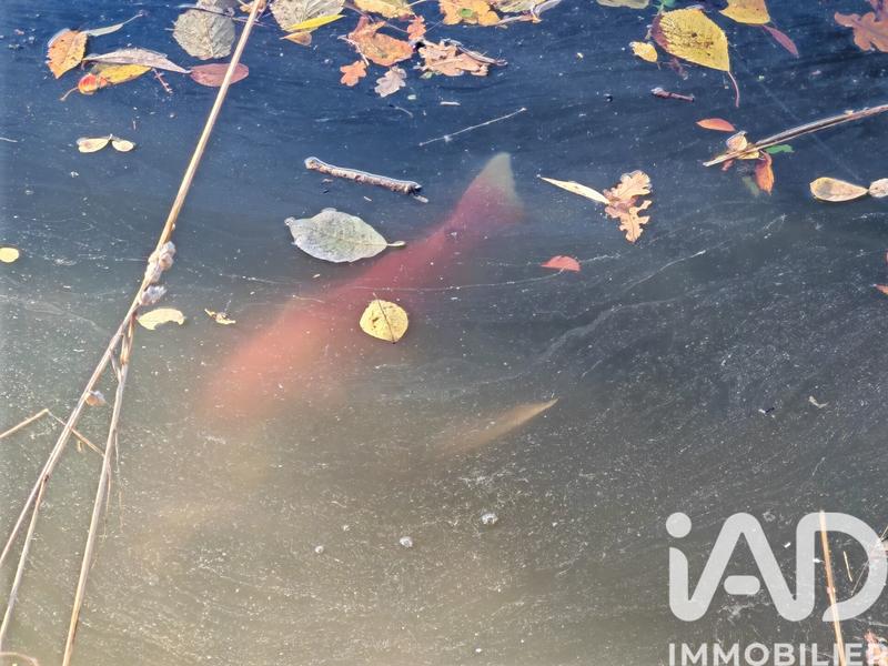 Terrain - 113 246 m²