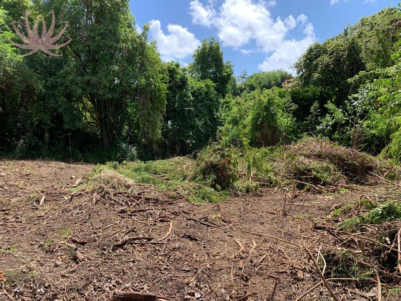 Immeuble - 278 m² - 10 pièces