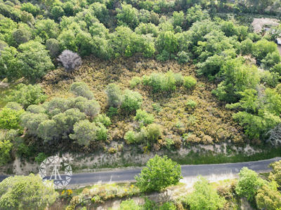 Terrain agricole - 2 600 m²