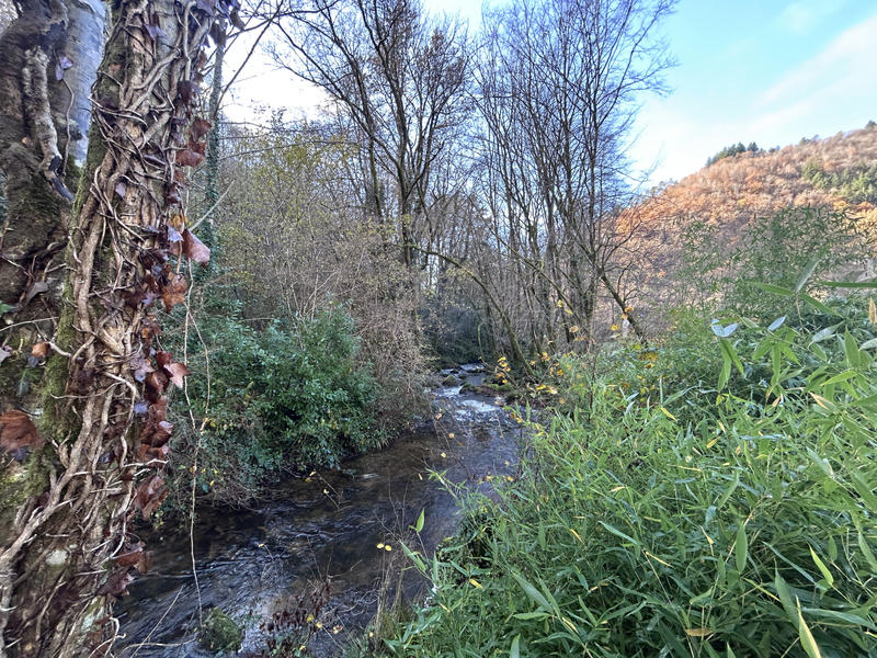 Maison - 290 m² - 12 pièces