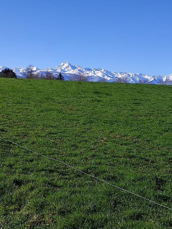 Terrain constructible - 1 557 m²