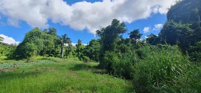 Terrain constructible - 15 220 m²