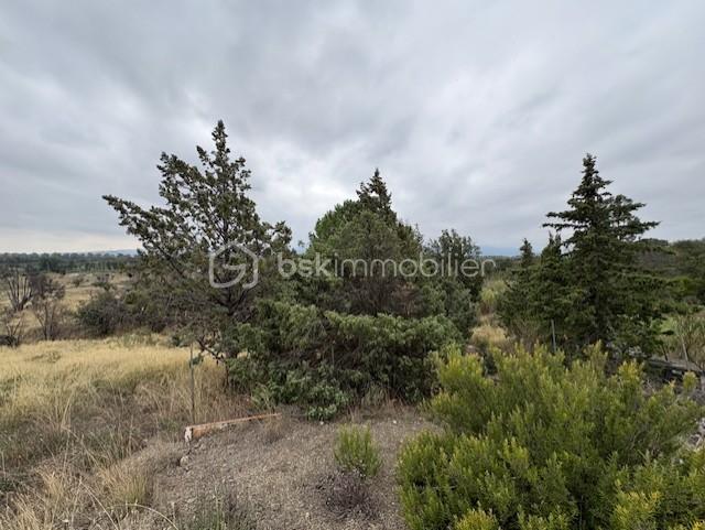 Terrain agricole - 1 590 m²