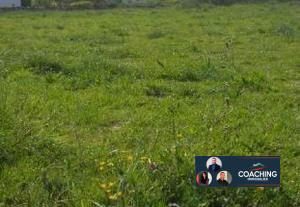 Terrain - 10 484 m²