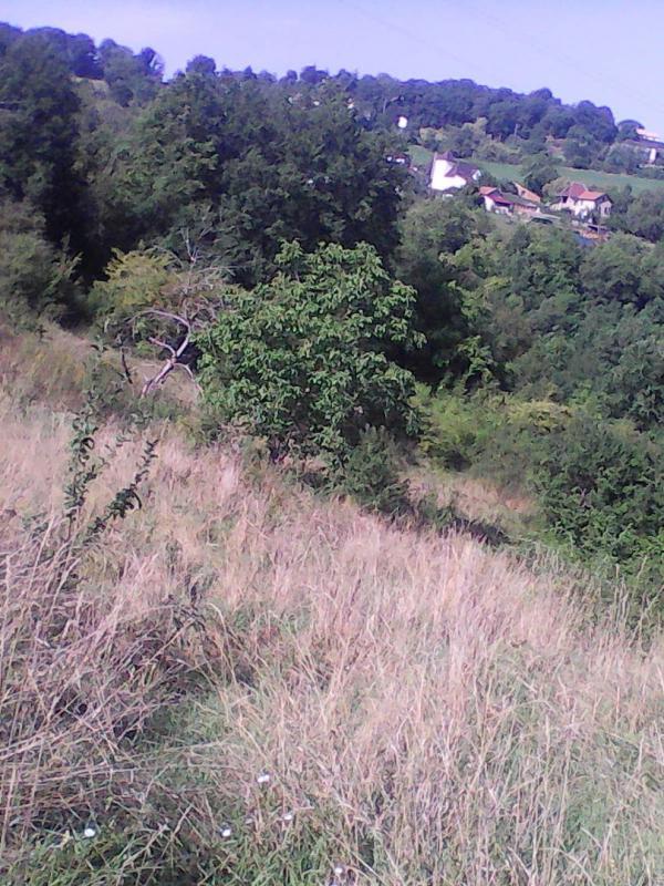 Terrain constructible - 8 317 m²