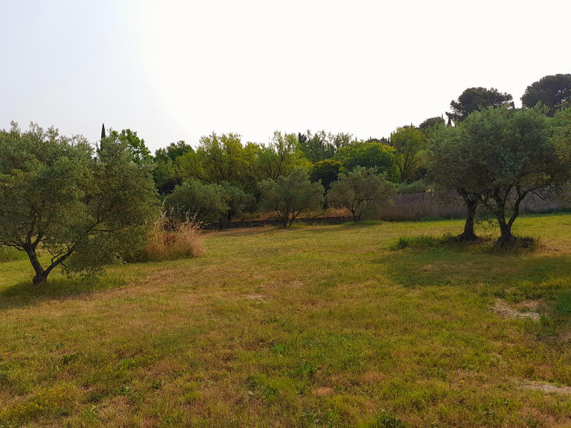 Terrain - 781 m²