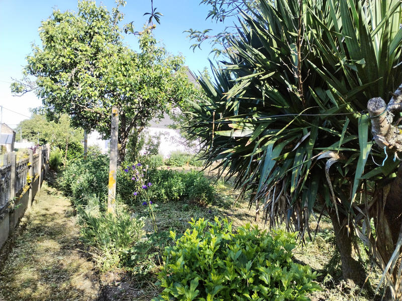 Maison - 48 m² - 2 pièces