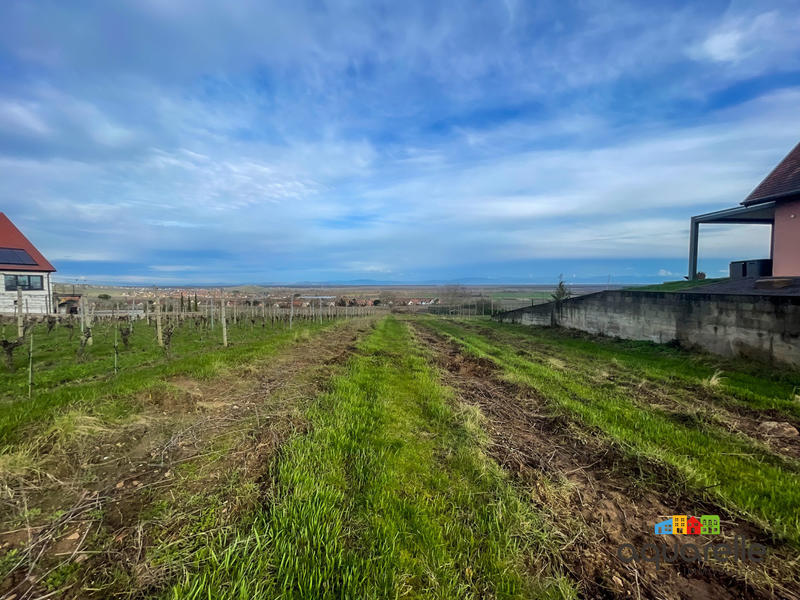 Terrain - 1 165 m²