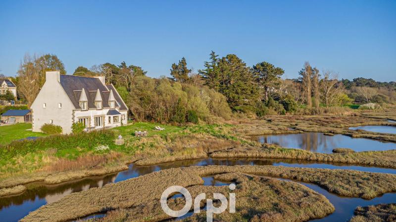 Propriété - 305 m² - 8 pièces