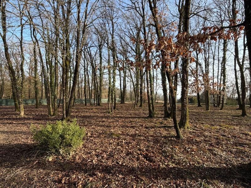 Terrain constructible - 2 000 m²
