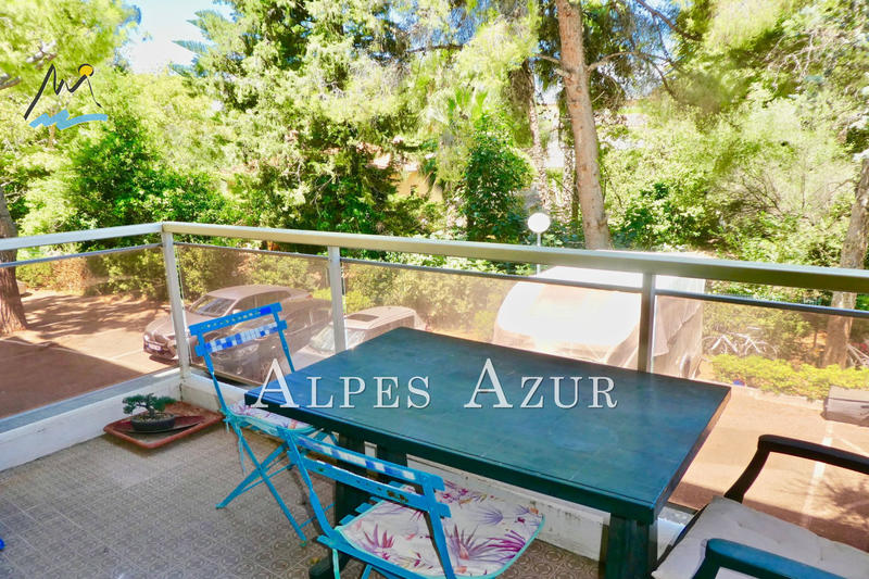 Appartement - 30 m² - 2 pièces