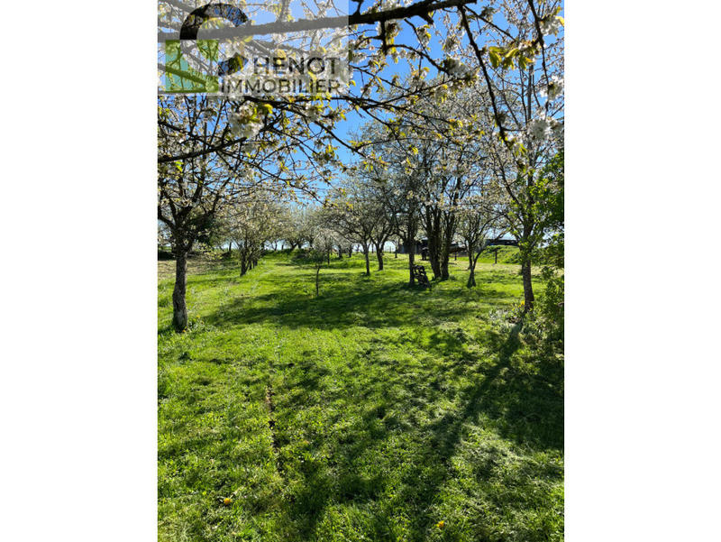 Propriété - 236 m² - 5 pièces