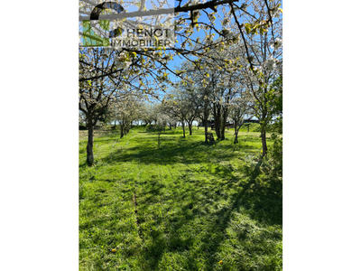 Propriété - 236 m² - 5 pièces