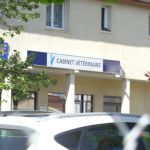 Veterinaires Dr Lenglet, Dr Plouzeau, Dr Bonin, Dr Vouillon