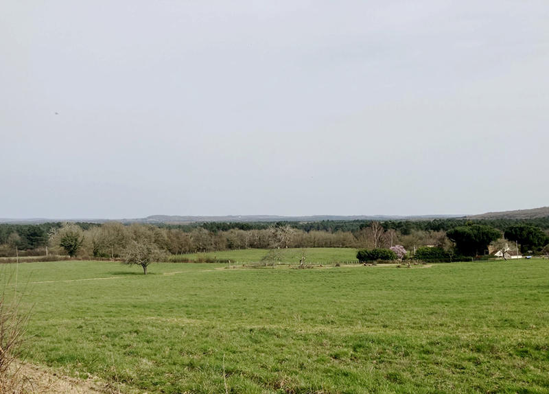 Maison - 200 m² - 5 pièces