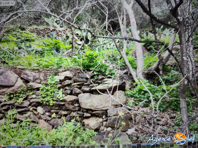 Terrain agricole - 4 000 m²