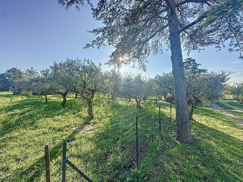 Mas - 300 m² - 12 pièces