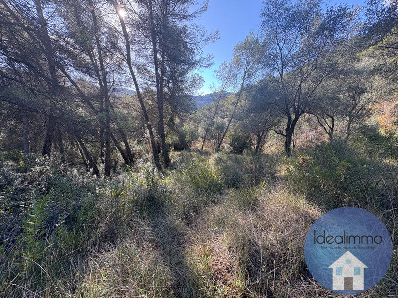 Terrain de loisirs - 20 000 m²