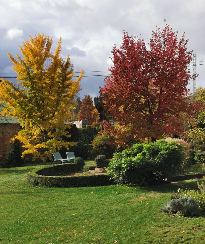 Maison - 500 m² - 9 pièces