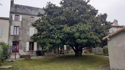 Appartement - 137 m² - 4 pièces