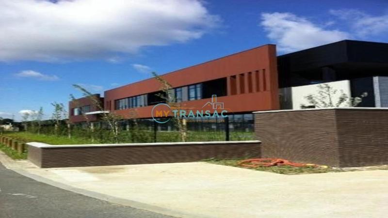 Local d'activité / Entrepôt - 3 279 m²