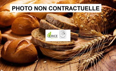 Fonds de commerce - 259 m²