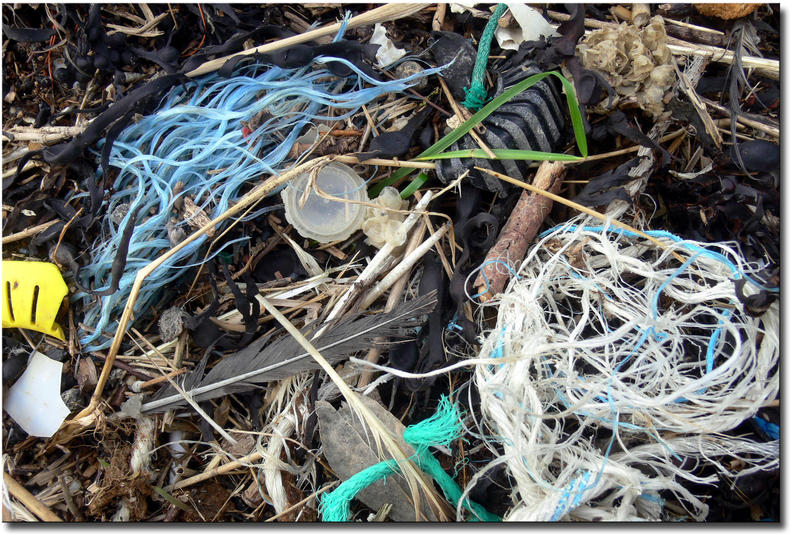 Nettoyage de la plage