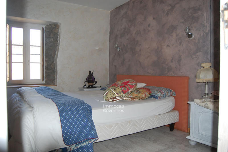 Mas - 740 m² - 10 pièces