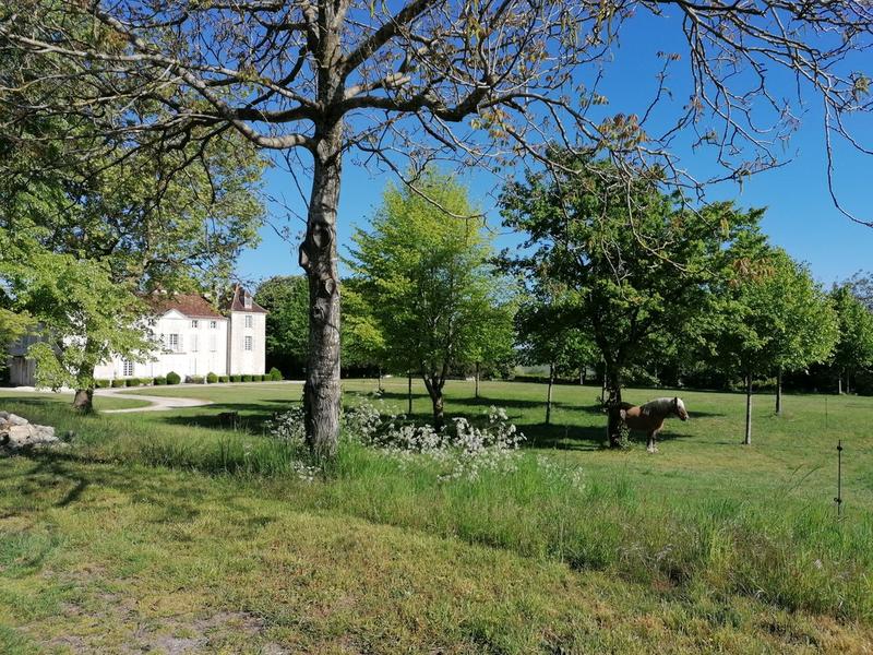 Châteaux en Fête - Château de la Meyfrenie