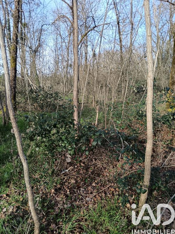 Terrain - 24 045 m²